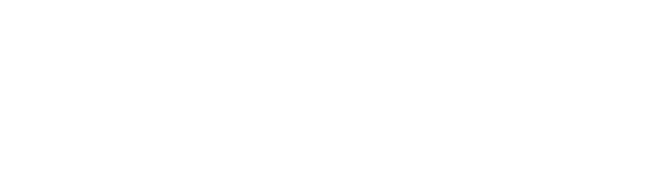 Turnov Logo bílá